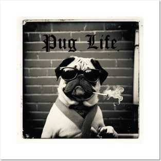 Pug Life Photo Posters and Art